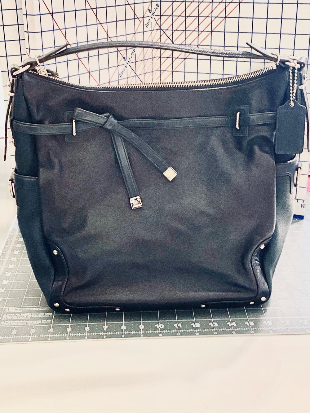 The Allie 18665 Hobo by Coach